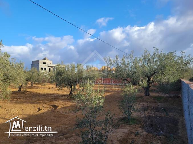 Terrain de 1800 m² à vendre à 125 MD à Hammamet Sud 51355351