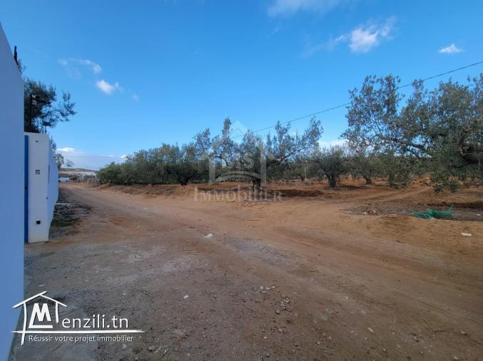 Terrain de 1800 m² à vendre à 125 MD à Hammamet Sud 51355351