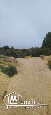 A Vendre Une Ferme Agricole à Oudhna