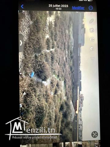 Terrain de 1500 m2 a raoued