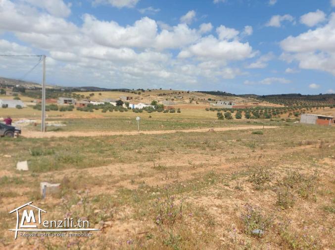 أرض280 متر للبيع بواد الليل وراء صالة الهواري