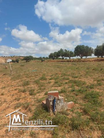 أرض280 متر للبيع بواد الليل وراء صالة الهواري