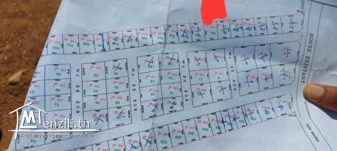 أرض280 متر للبيع بواد الليل وراء صالة الهواري