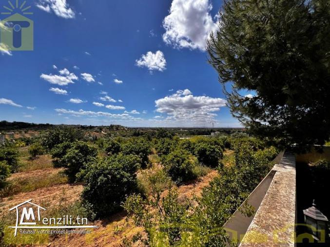 ferme de 9 hectares à Hammamet