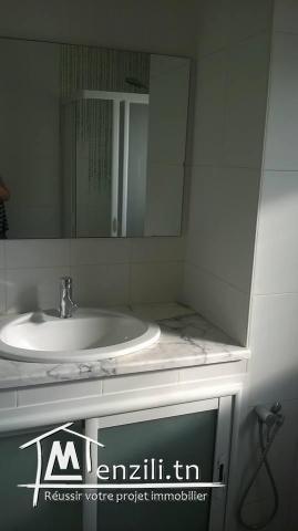 S1 haut stand ain zaghouan nord