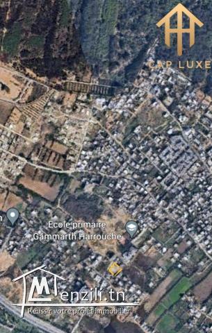 Terrain Idéalement Situé à Gammath, Tunis - Superficie de 625 mètres carrés avec Deux Façades