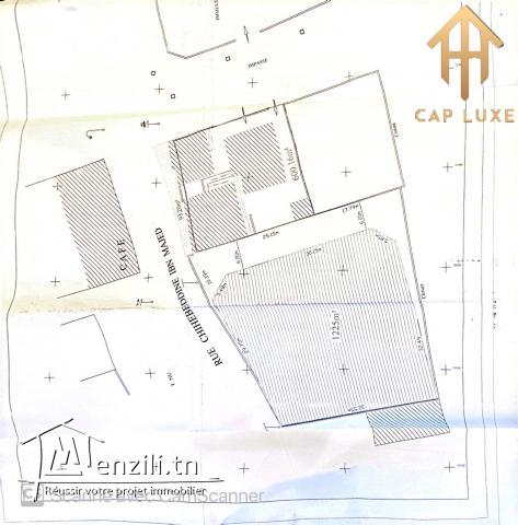 Terrain Idéalement Situé à Gammath, Tunis - Superficie de 625 mètres carrés avec Deux Façades
