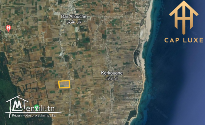 Terrain 9 H a Dar Allouch