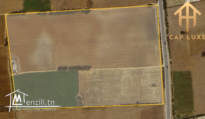 Terrain 9 H a Dar Allouch