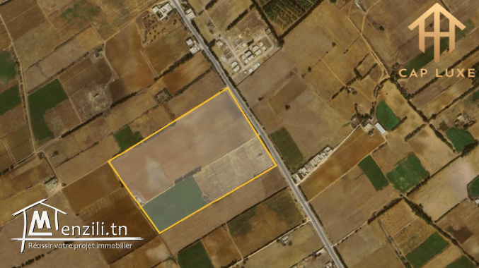 Terrain 9 H a Dar Allouch