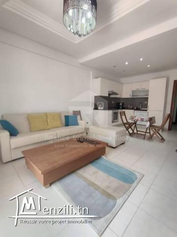 A Louer (location estivale / l'année scolaire) un appartement S1 meublé à Résidence Folla