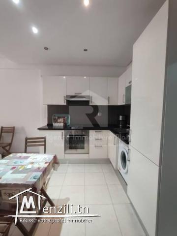 A Louer (location estivale / l'année scolaire) un appartement S1 meublé à Résidence Folla