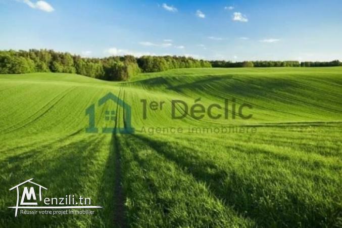 A Vendre pour Promotion Immobilière Un Terrain