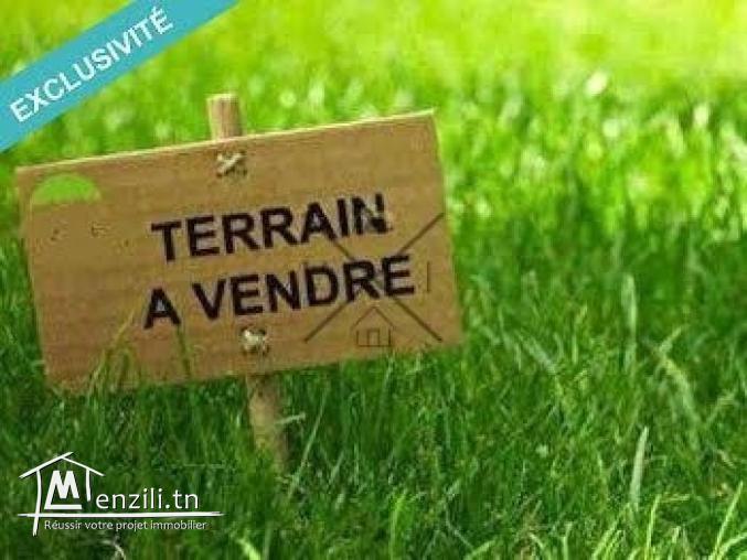 Terrain chott meriem 526 m² vue mer