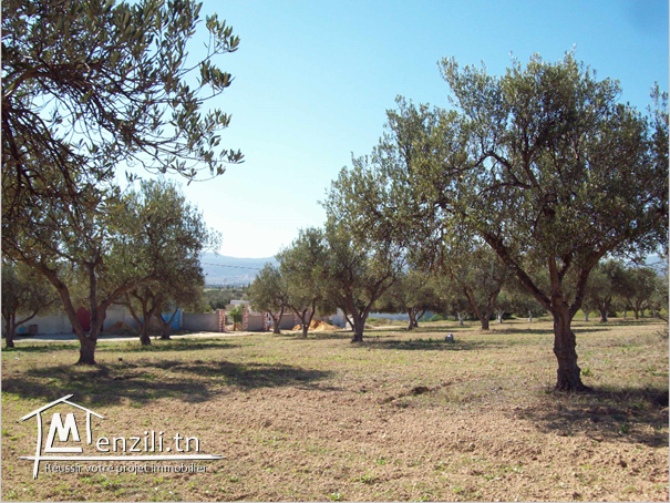 Sur la route principale c 26,