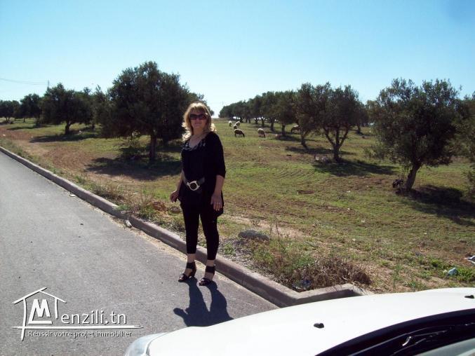 Sur la route principale c 26,