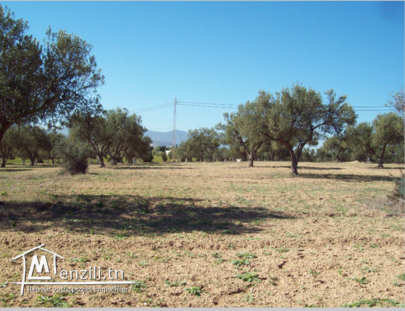 Sur la route principale c 26,