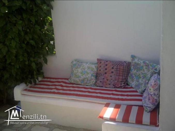 V451 Duplex NASSIM DUPLEX NASSIM