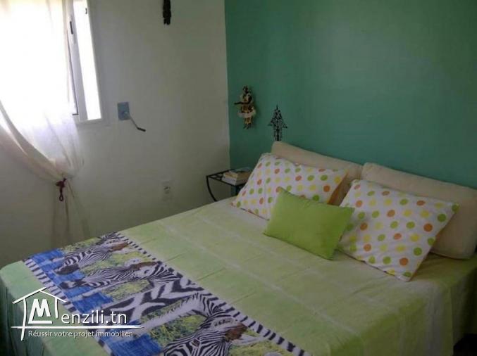 V451 Duplex NASSIM DUPLEX NASSIM