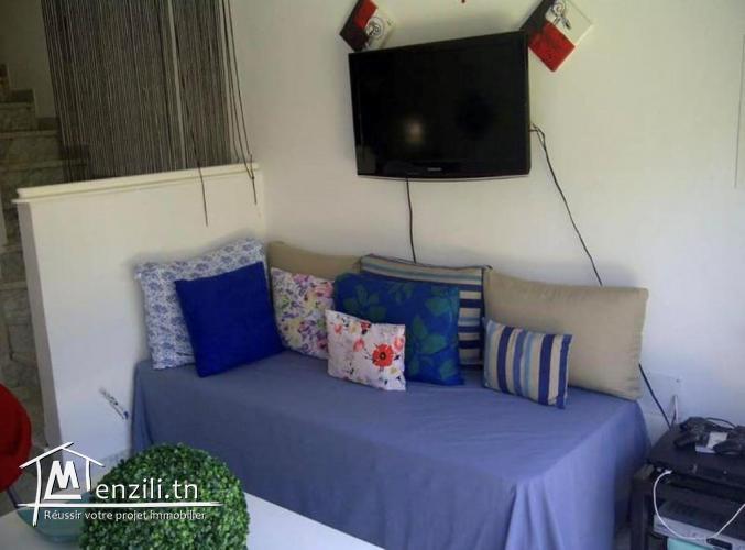 V451 Duplex NASSIM DUPLEX NASSIM