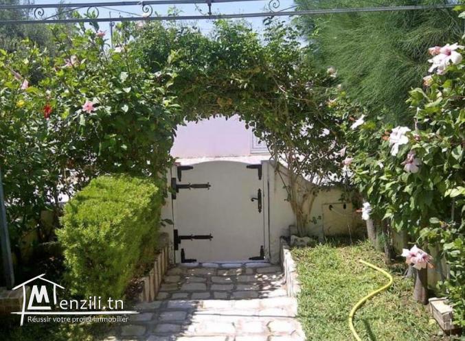 V451 Duplex NASSIM DUPLEX NASSIM