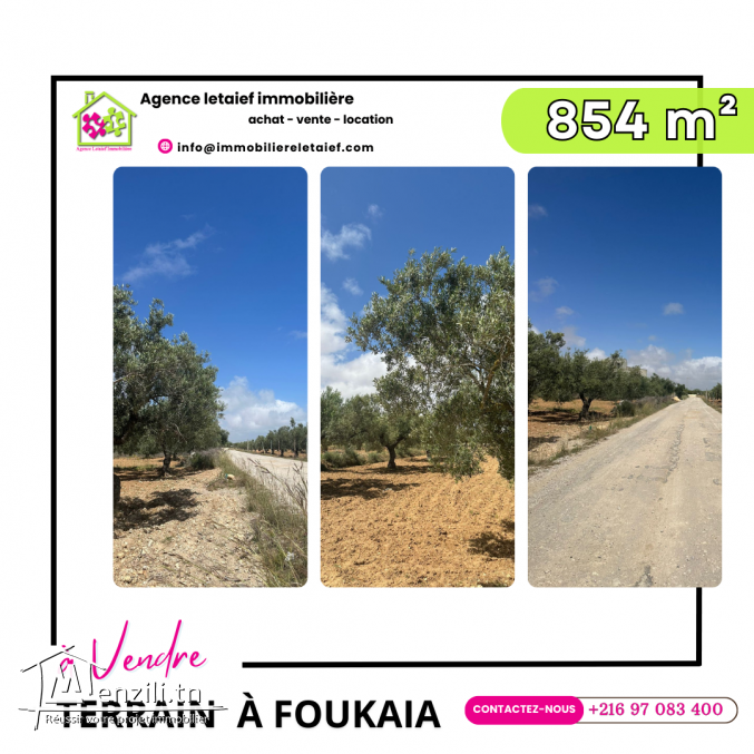 Terrain à vendre foukaia Chott Meriem