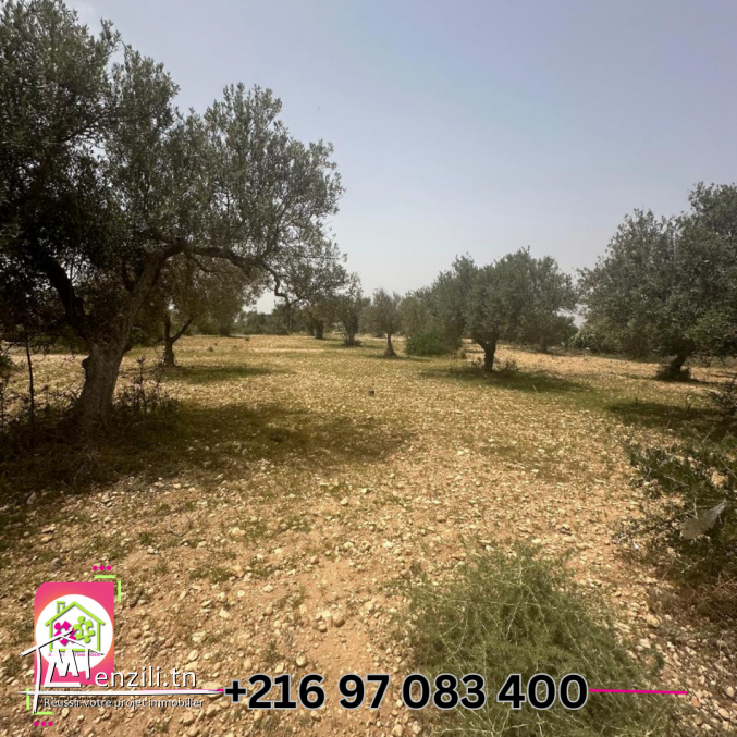 terrain à  vendre الفقاعية ChottMeriem 1100 m²