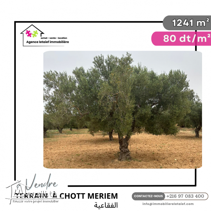 terrain à vendre1241 m2 #foukaia#ChottMeriem