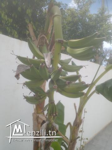 A vendre nouvelle villa.