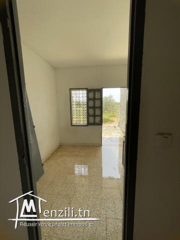 Terrain avec oliviers Somaa