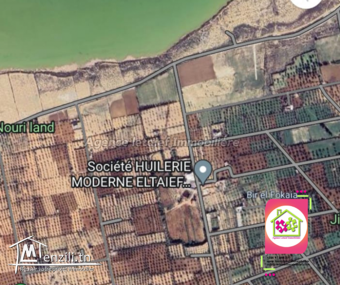 أرض فلاحية للبيع في شط مريم الفقاعية