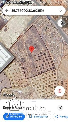 Terrains 12000 m2/2000 m2/1500 m2/1000 m2 à vendre sans courtage