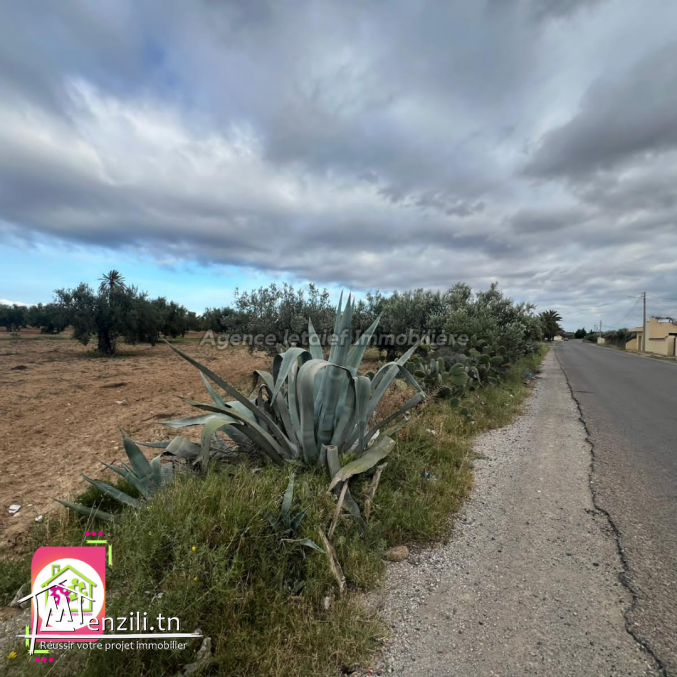 Terrain agricole #Situé à Sidi Bou Ali Sousse 2400m²