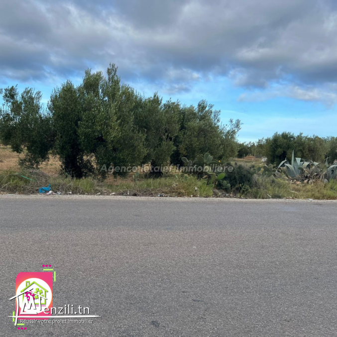 Terrain agricole #Situé à Sidi Bou Ali Sousse 2400m²