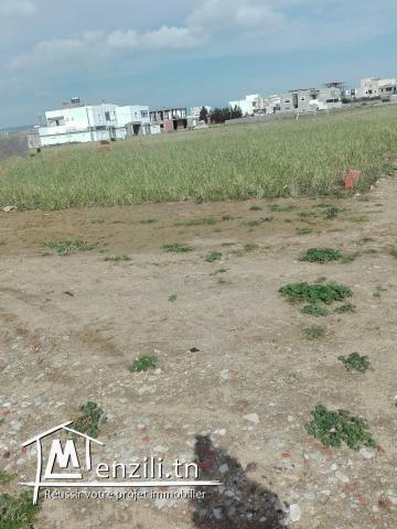 un terrain de 200 m² constructible à dar allouche kélibia