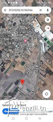 Terrain à vendre à Haouaria