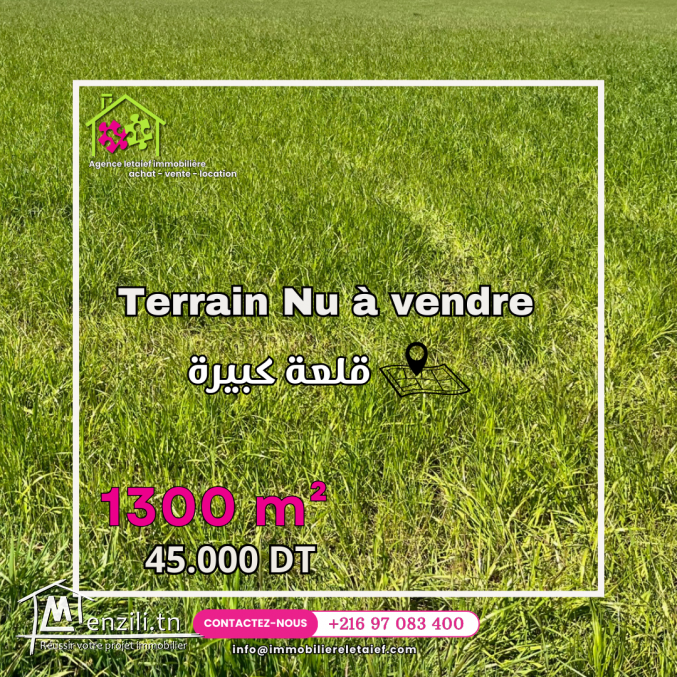 Terrain agricole nu (ارض جرداء) de 1300 m2 a kala kbira