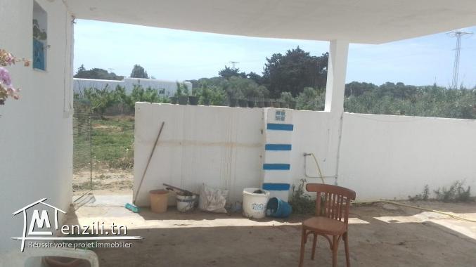 ferme hectares avec des maisons a vendrev à hamam ghzez kélibia