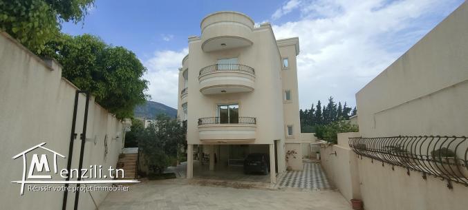 Vente villa