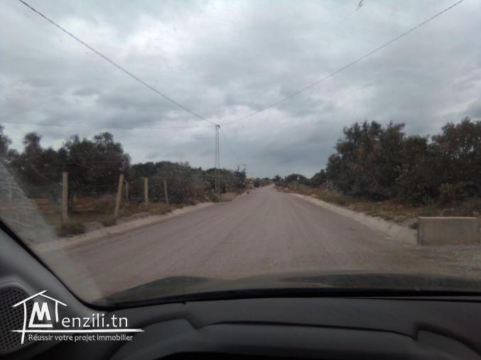 Terrain agricole à vendre Foukaia