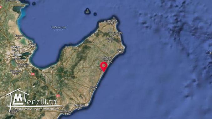 terrain a vendre korba