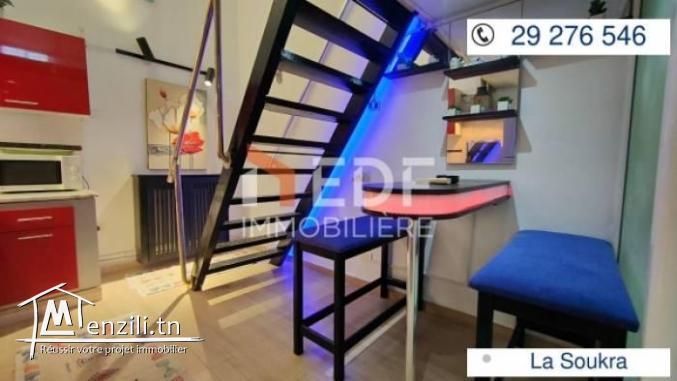 LOFT à la soukra