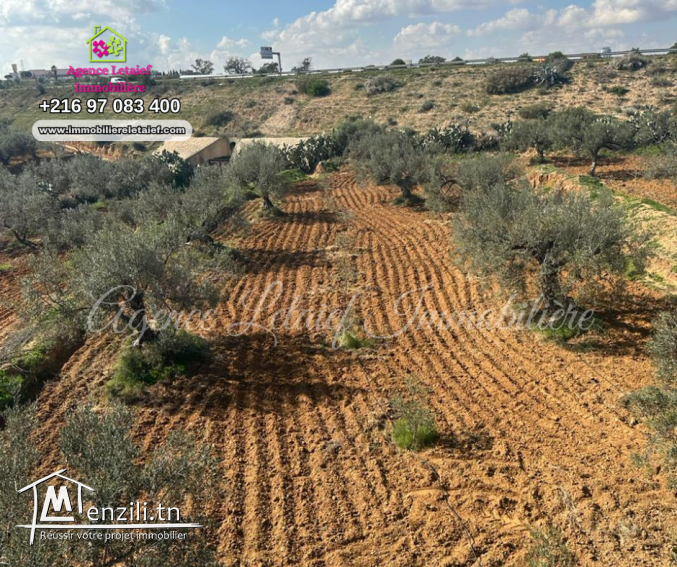 Senia  de un hecatre et 2350 m² a Rmila