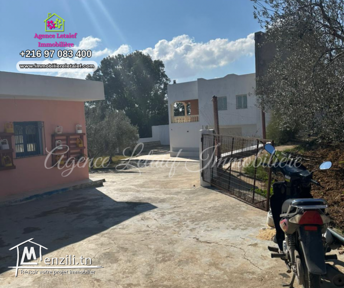 Senia  de un hecatre et 2350 m² a Rmila