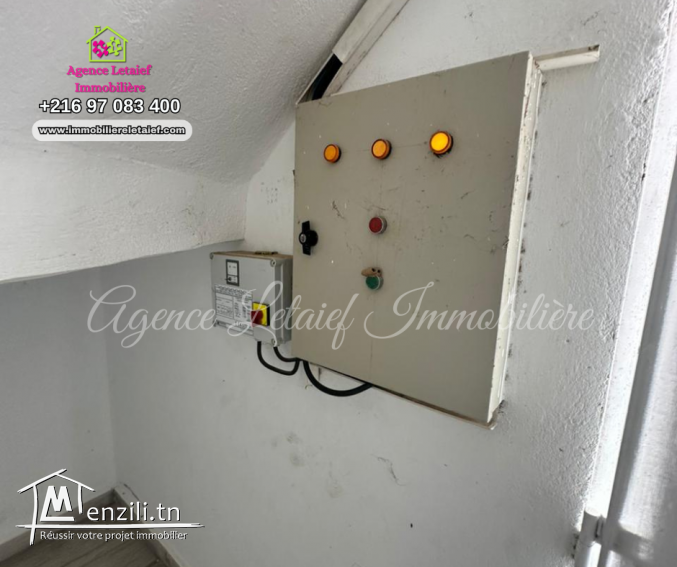 Senia  de un hecatre et 2350 m² a Rmila