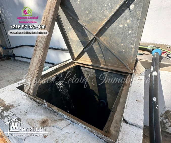 Senia  de un hecatre et 2350 m² a Rmila