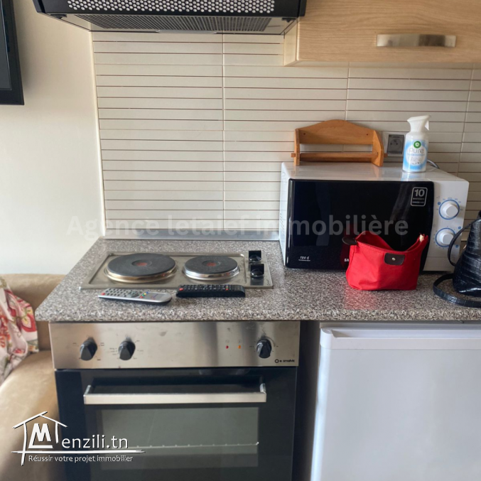 Un très beau studio S+0 richement meublé à les dunes