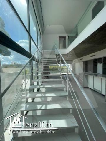 Luxueuse Villa Neuf  à louer à Gammarth