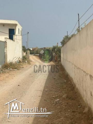 À vendre Terrain agricole de 1040m² Route Somaa Nabeul.