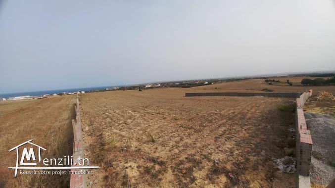 A vendre des lots de terrains à El haouaria nabeul